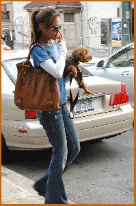 Vanessa Minnillo : Vanessa Minnillo and Wookie out and about one fine day in SoHo6 486cc47d9cd50