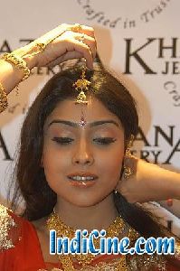 Shriya Saran : shriya-saran-pics-0070