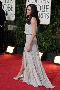 angelina jolie at the 66th Annual Golden Globe Awards