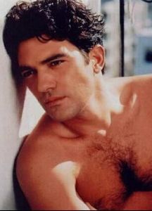 Actor antonio banderas : 19