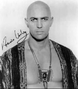 Actor arnold vosloo : 3