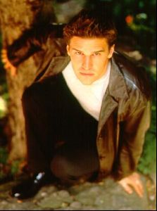 Actor david boreanaz : 10