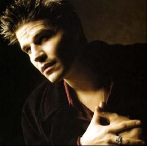 Actor david boreanaz : 13