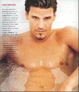 Actor david boreanaz : 16