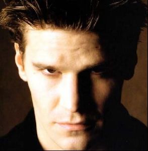 Actor david boreanaz : 18