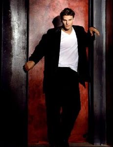 Actor david boreanaz : 20