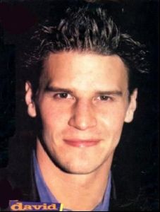 Actor david boreanaz : 24