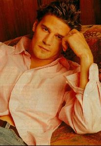 Actor david boreanaz : 27