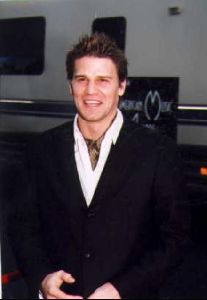 Actor david boreanaz : 32