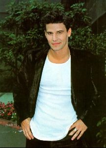 Actor david boreanaz : 33