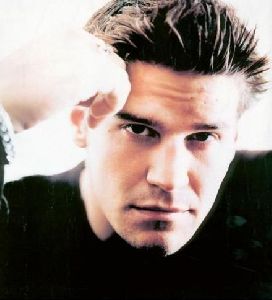 Actor david boreanaz : 35