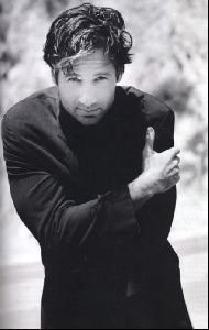 Actor david duchovny : 11