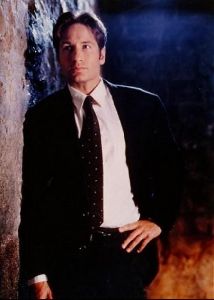 Actor david duchovny : 20