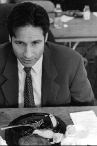 Actor david duchovny : 97