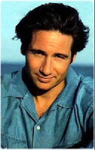 Actor david duchovny : dd41