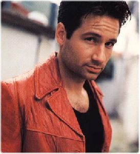 Actor david duchovny : dd46