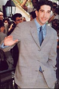 Actor david schwimmer : 22