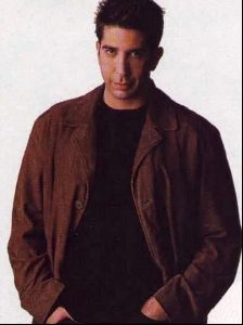 Actor david schwimmer : 46