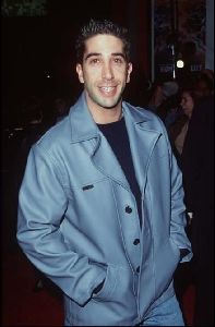 Actor david schwimmer : 9