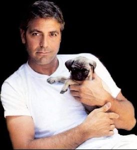 Actor george clooney : 58