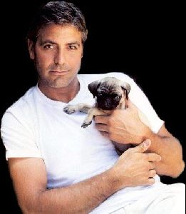 Actor george clooney : george clooney 02