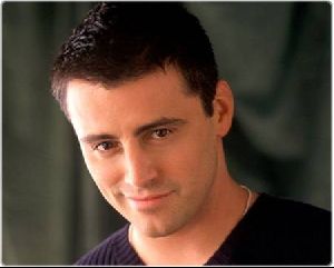 Actor matt leblanc : ml1