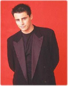 Actor matt leblanc : ml13