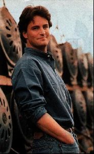 Actor matthew perry : 17