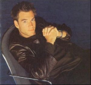 Actor michael weatherly : 9