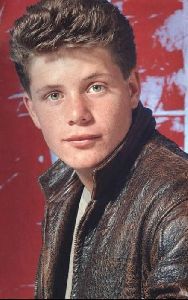 Actor sean astin : 7