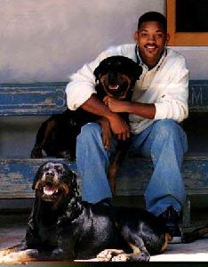 Actor will smith : ws10