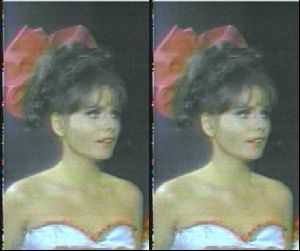 Actress dawn wells : 4