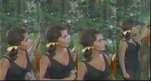 Actress dawn wells : 6