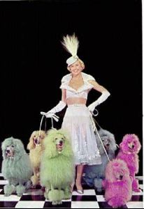 Actress doris day : 77