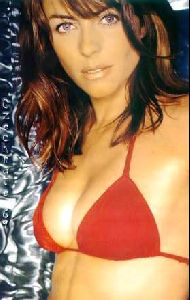 Actress elizabeth hurley : elizabeth hurley 40