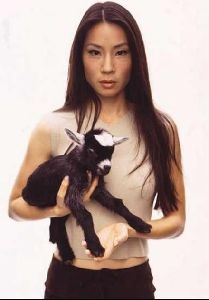 Actress lucy liu : 10