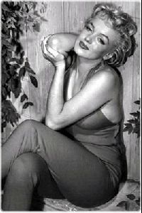 Actress marilyn monroe : mm10