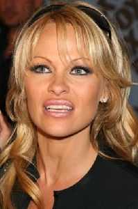 Actress pamela anderson : pal116