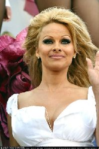 Actress pamela anderson : pal147