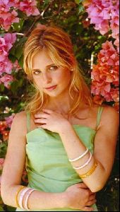 Actress sarah michelle gellar : sarah smg 12