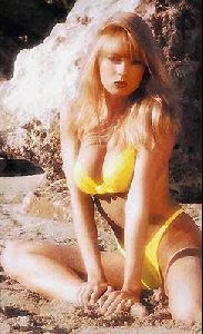 Actress traci lords : traci56