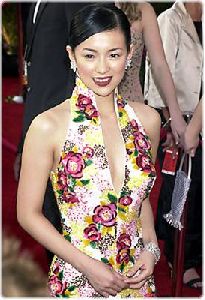 Actress zhang ziyi : zz25