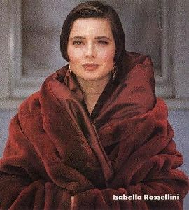 Female model isabella rossellini : ir12