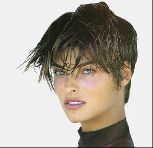 Female model linda evangelista : 68