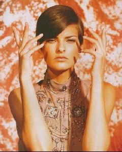 Female model linda evangelista : 96