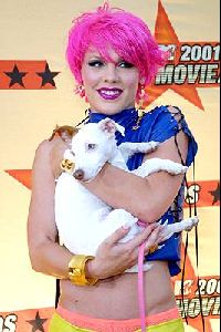 Pink arrives at the 2001 MTV movie awards at The Shrine Auditorium in Los Angeles, California on June 2nd, 2001