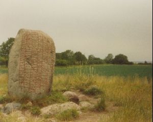 Cities Europe Sweden : Viking rune on the island of land