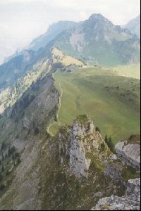 Cities Europe Switzerland : A ridge on the side of the Schynige Platte