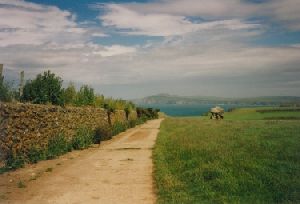 Cities Europe The United Kingdom : A dirt road and ancient monolith by the Welsh coast.