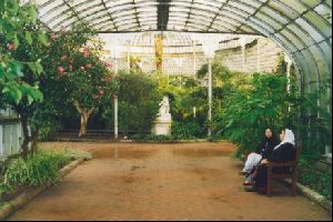 Cities Europe The United Kingdom : Inside Kibble Palace